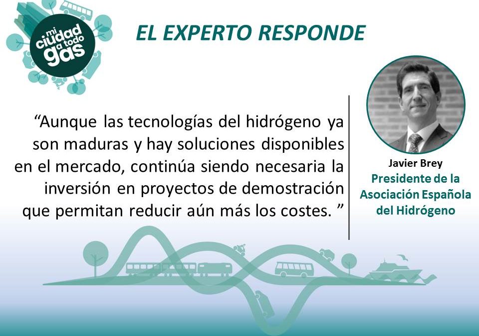 EL EXPERTO RESPONDE: Javier Brey, presidente de la Asociación Española del Hidrógeno (AeH2)