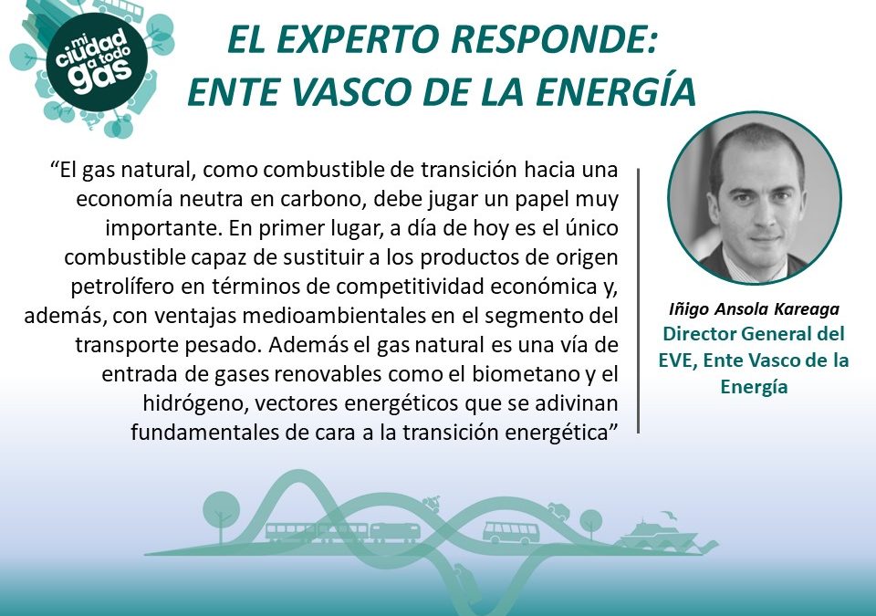 EL EXPERTO RESPONDE: Iñigo Ansola Kareaga Director General del EVE, Ente Vasco de la Energía