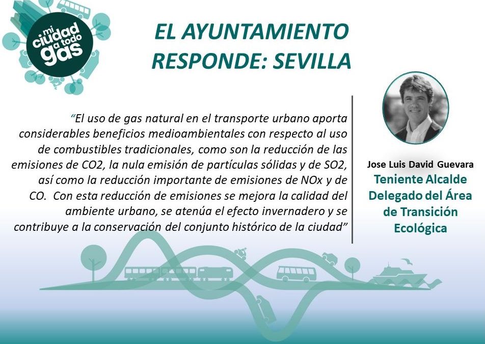 EL AYUNTAMIENTO RESPONDE: Jose Luis David Guevara , Teniente de Alcalde Delegado del Área de Transición Ecológica del Ayuntamiento de Sevilla