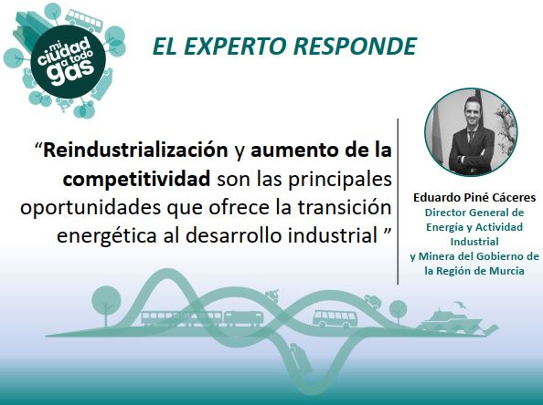 EL GOBIERNO DE LA REGIÓN DE MURCIA RESPONDE: Eduardo Piné Cáceres, director general de Energía y Actividad Industrial y Minera