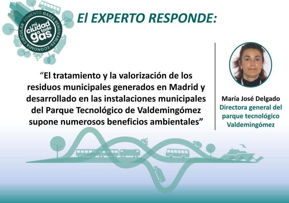 EL PARQUE TECNOLÓGICO DE VALDEMINGÓMEZ RESPONDE: María José Delgado, Directora General