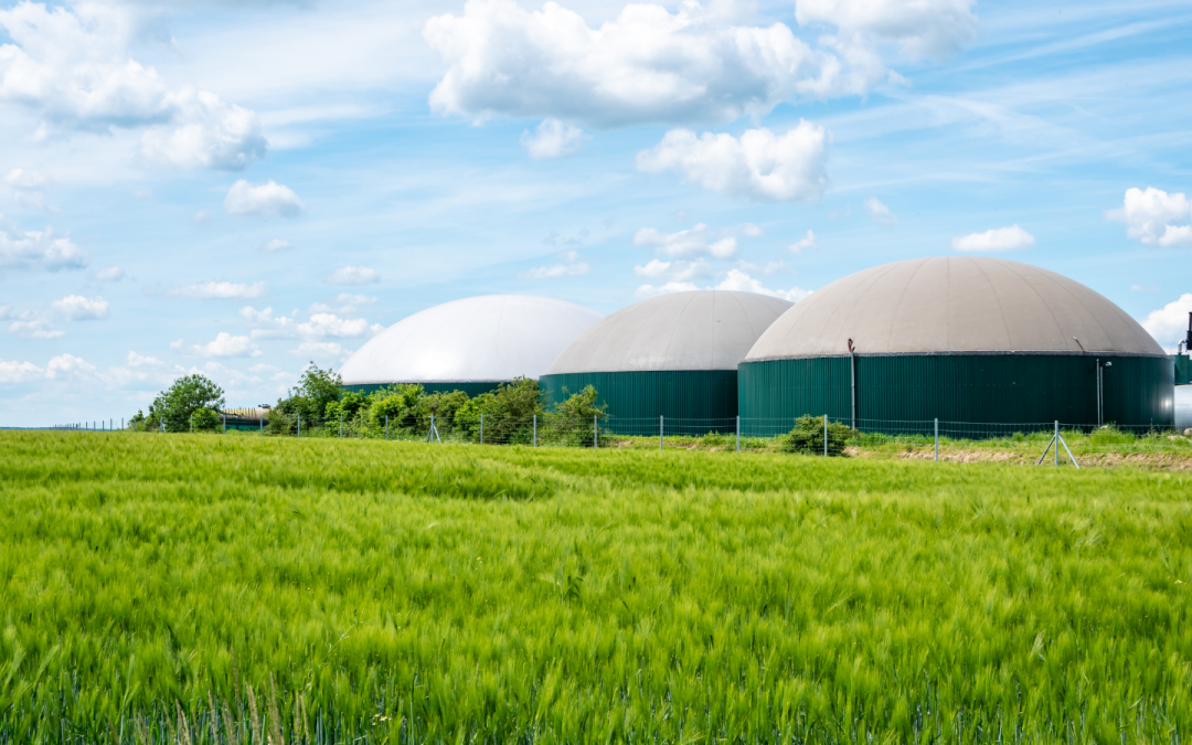 El Gobierno aprueba la Hoja de Ruta del Biogás