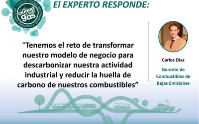 REPSOL RESPONDE: Carlos Díaz García, gerente de combustibles de bajas emisiones