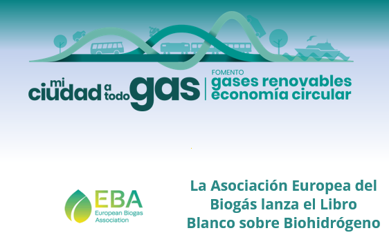 La Asociación Europea del Biogás lanza el Libro Blanco sobre Biohidrógeno