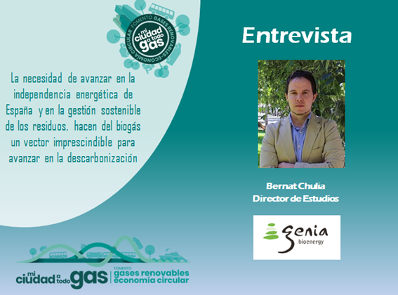 EL EXPERTO RESPONDE: Bernat Chulia, director de estudios en Genia Bioenergy