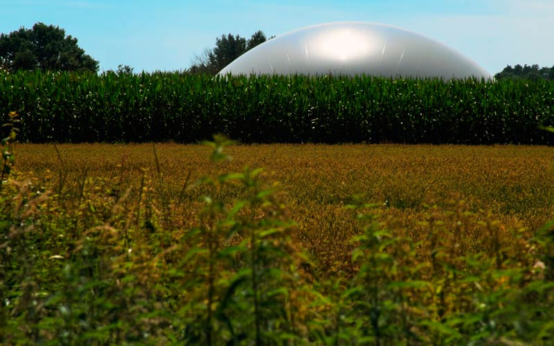 Biometano y biogás en la descarbonización