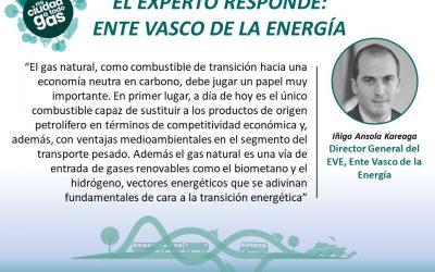 EL EXPERTO RESPONDE: Iñigo Ansola Kareaga Director General del EVE, Ente Vasco de la Energía