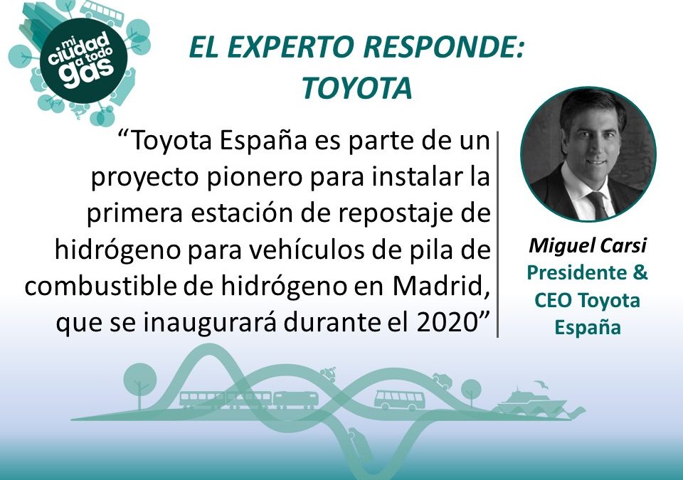 EL EXPERTO RESPONDE: Miguel Carsi, Presidente & CEO Toyota España