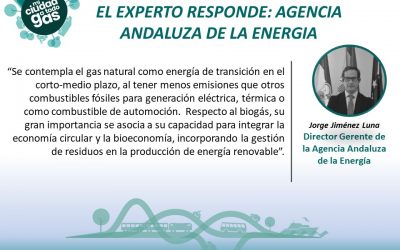 AGENCIA ANDALUZA DE LA ENERGIA RESPONDE: Jorge Jiménez Luna, Director Gerente de la Agencia Andaluza de la Energía