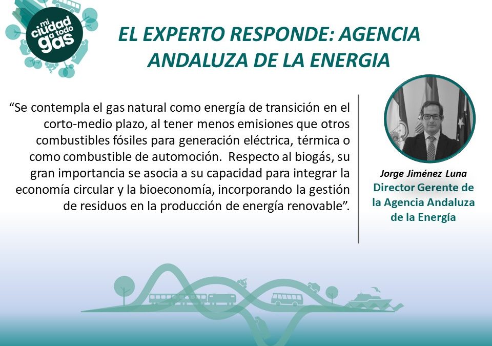 AGENCIA ANDALUZA DE LA ENERGIA RESPONDE:  Jorge Jiménez Luna, Director Gerente de la Agencia Andaluza de la Energía