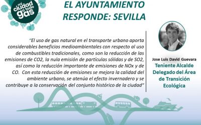 EL AYUNTAMIENTO RESPONDE: Jose Luis David Guevara , Teniente de Alcalde Delegado del Área de Transición Ecológica del Ayuntamiento de Sevilla