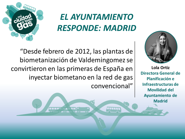 EL AYUNTAMIENTO RESPONDE: Lola Ortiz, Directora General de Planificación e Infraestructuras de Movilidad del Ayuntamiento de Madrid