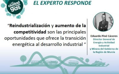 EL GOBIERNO DE LA REGIÓN DE MURCIA RESPONDE: Eduardo Piné Cáceres, director general de Energía y Actividad Industrial y Minera