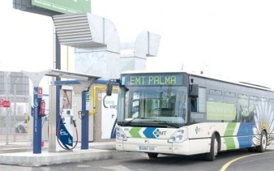 Palma incorpora 23 nuevos vehículos de Gas Natural Comprimido a su flota de autobuses