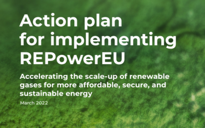 Plan de implementación para alcanzar los objetivos “REPowerEU” de gases renovables