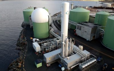 Un estudio encargado por SEA-LNG muestra que el biometano licuado (bio-GNL) puede hacer una contribución importante a la descarbonización marítima