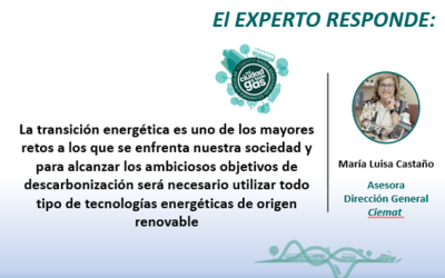 CIEMAT RESPONDE: María Luisa Castaño, Asesora de la Dirección General