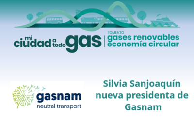 Silvia Sanjoaquín, nueva presidenta de Gasnam
