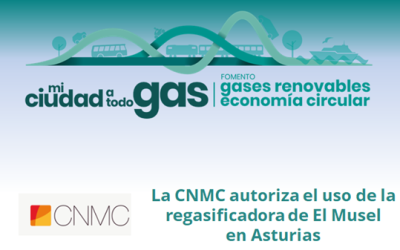 La CNMC autoriza el uso de la regasificadora de El Musel en Asturias
