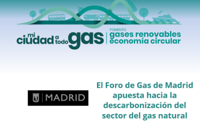 El Foro de Gas de Madrid apuesta hacia la descarbonización del sector del gas natural