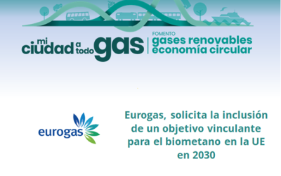 Eurogas, solicita la inclusión de un objetivo vinculante para el biometano en la UE en 2030