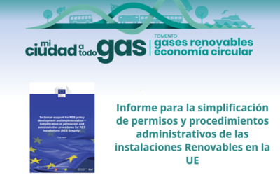 Informe para la simplificación de permisos y procedimientos administrativos de las instalaciones Renovables en la UE