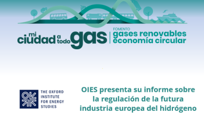 OIES presenta su informe sobre la regulación de la futura industria europea del hidrógeno