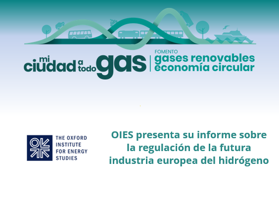 OIES presenta su informe sobre la regulación de la futura industria europea del hidrógeno