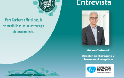EL EXPERTO RESPONDE: Héctor Carbonell, director de hidrógeno y transición energética