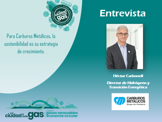 EL EXPERTO RESPONDE: Héctor Carbonell, director de hidrógeno y transición energética