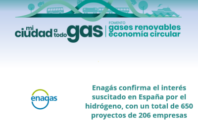 Enagás confirma el interés suscitado en España por el hidrógeno, con un total de 650 proyectos de 206 empresas
