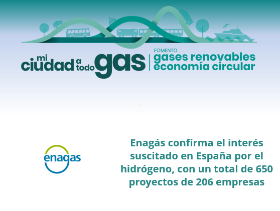 Enagás confirma el interés suscitado en España por el hidrógeno, con un total de 650 proyectos de 206 empresas