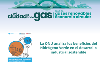 La ONU analiza los beneficios del Hidrógeno Verde en el desarrollo industrial sostenible