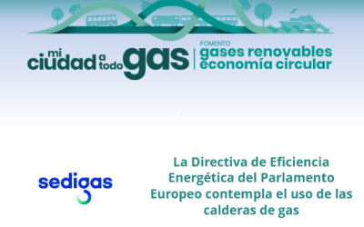 La Directiva de Eficiencia Energética del Parlamento Europeo contempla el uso de las calderas de gas