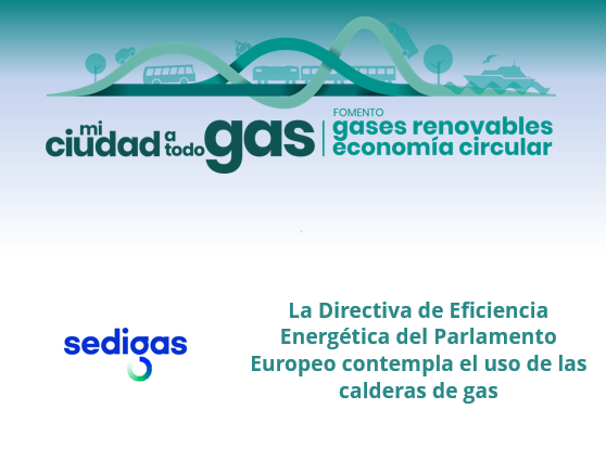 La Directiva de Eficiencia Energética del Parlamento Europeo contempla el uso de las calderas de gas
