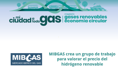 MIBGAS crea un grupo de trabajo para valorar el precio del hidrógeno renovable