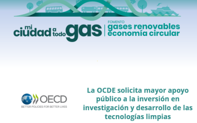 La OCDE solicita mayor apoyo público a la inversión en investigación y desarrollo de las tecnologías limpias.